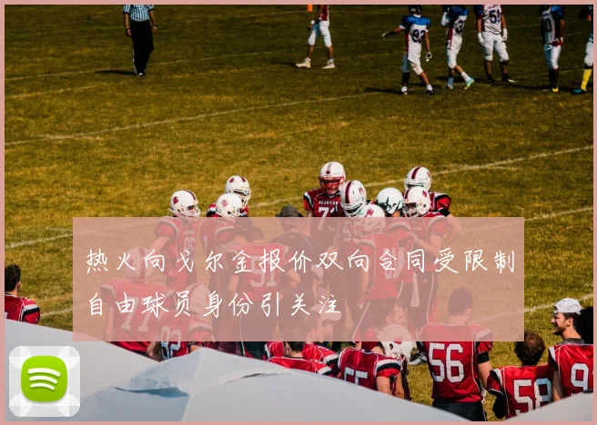 热火向戈尔金报价双向合同受限制自由球员身份引关注